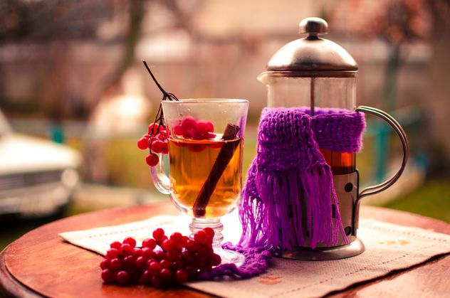 warm tea outdoor with vibrunum - image #302921 gratis