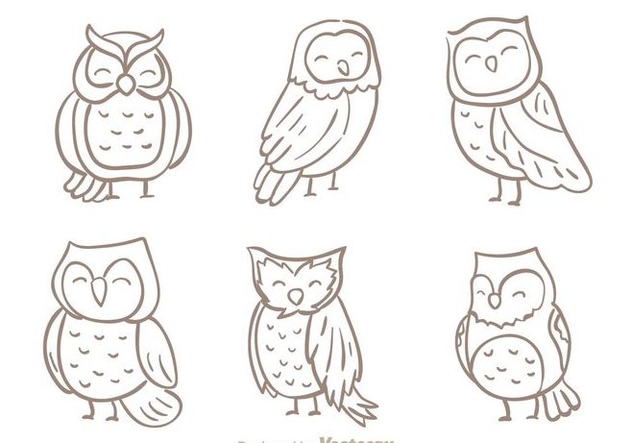 owl vector free download