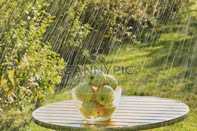 Summer rain and green apples - Free image #303271