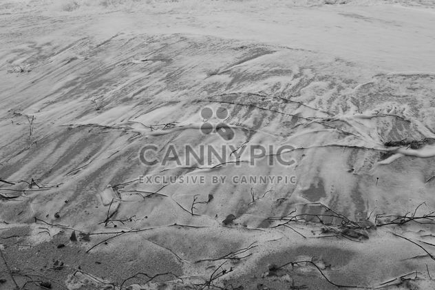 Beach sand in grey scale - бесплатный image #303751