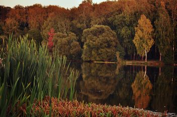Autumn park - бесплатный image #303961