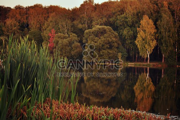 Autumn park - image #303961 gratis