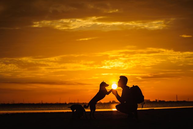silhouette of man and dog at sunset - бесплатный image #303981