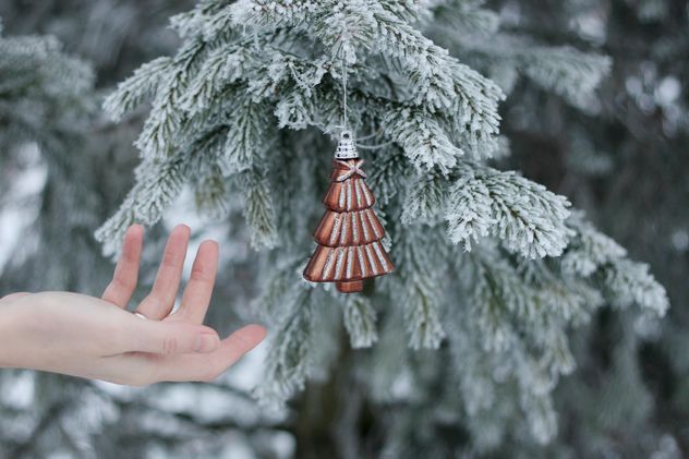 Hand reaching the Christmas toy - image gratuit #304091 