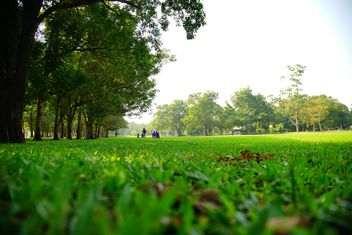 Green grass in Vachira Benjatas - бесплатный image #304481