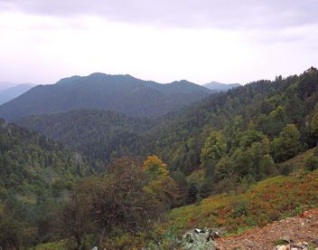 Turkey (Bolu) Autumn colors at Bolu Mountains - Kostenloses image #305281