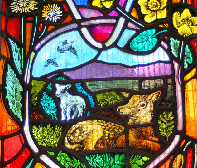 Local Wildlife - stained glass window, Dornoch Cathedral #3 - Free image #306041