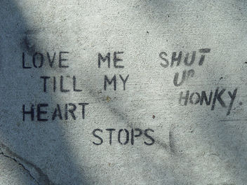 Sidewalk Stencil: Love me till my heart stops (Shut up honky) - image gratuit #307691 