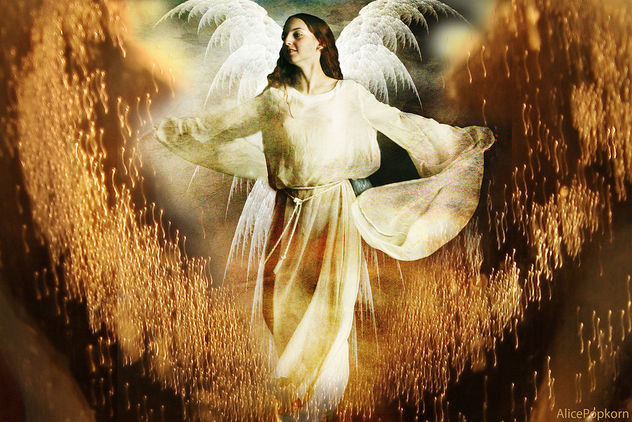 calling the angels for Japan - Free image #308891