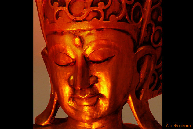 Light of the Buddha - бесплатный image #308941