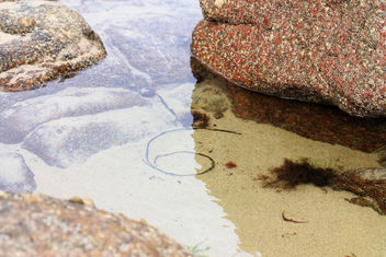 Who doesn't love a rockpool ! - Kostenloses image #309041