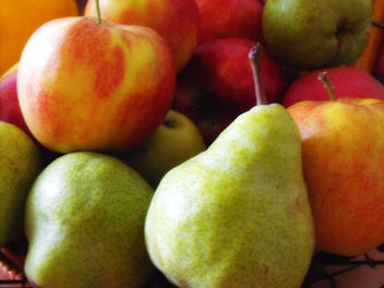 Pears & Apples - Free image #309221