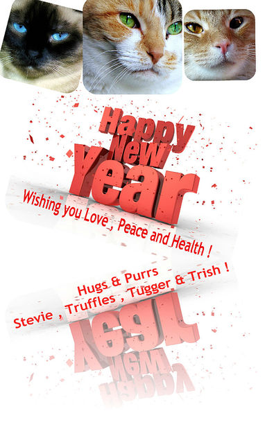 Happy New Year Dear Flickr Friends ! - image gratuit #309341 
