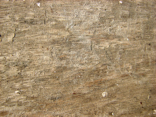 Wood Texture - Kostenloses image #310771