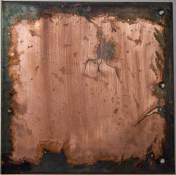 Griffith Silver-Black on Copper through Wet Tissue - бесплатный image #311741
