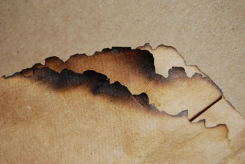 Burnt Paper Texture 01 - Kostenloses image #313181