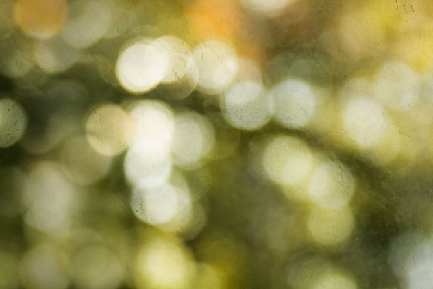 bokeh texture for your use - Free image #313471