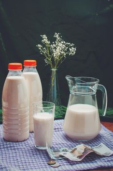 Three liters of baked milk for a $3 - Free image #317351