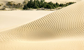 Sand dune pattern.jpg - image #321571 gratis