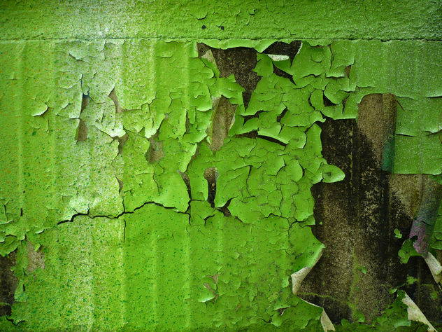 green wall- free texture - Kostenloses image #321781