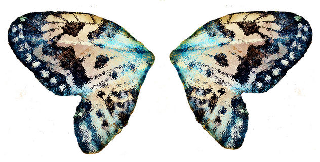 A Pair of Butterfly Wings - Kostenloses image #322871