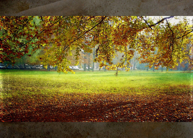 colorful of autumn - бесплатный image #323541
