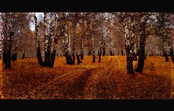Autumn Landscape - бесплатный image #323561