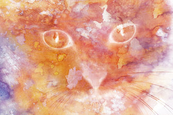 Abstract Watercolor Cat - Kostenloses image #324261