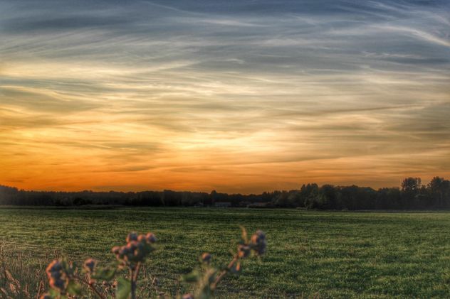 Sunset sky on a field - Free image #329951