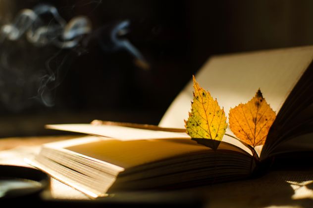 Autumn yellow leaves through a magnifying glass with incense sticks and book - image gratuit #330411 