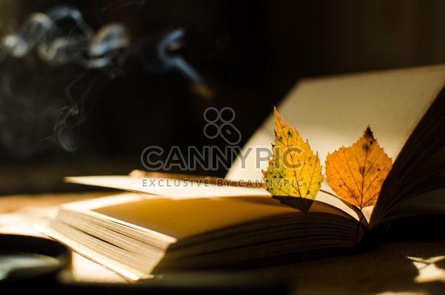 Autumn yellow leaves through a magnifying glass with incense sticks and book - image gratuit #330411 