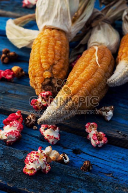 Close-up of corn cobs and popcorn on blue wooden background - image gratuit #330451 
