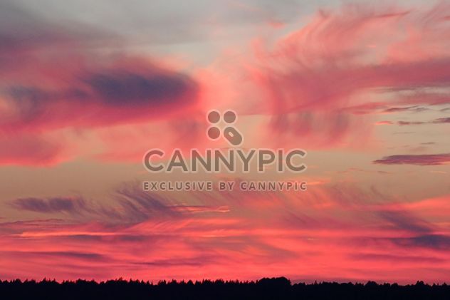 Pink sky at sunset - image gratuit #338521 