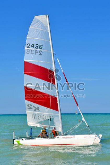 Sport sailboat with white-red sail - бесплатный image #344031