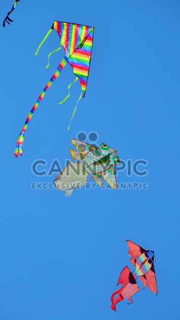 kites in the blue sky - image gratuit #344211 