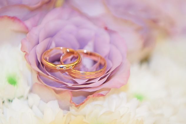 Wedding rings on purple flower - image gratuit #345011 