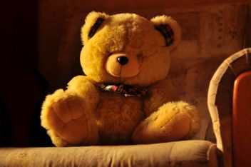 Cute teddy bear on sofa - бесплатный image #345051
