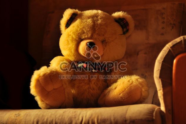 Cute teddy bear on sofa - Kostenloses image #345051