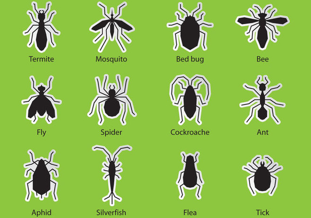 Pest Control Bugs - vector gratuit #346371 