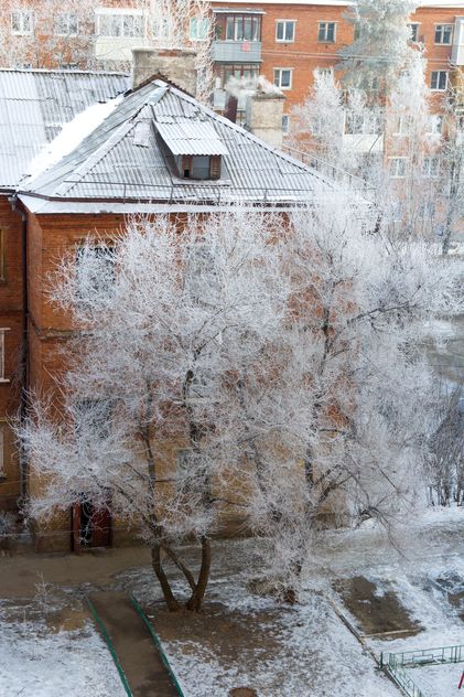 View on houses and trees in winter - Free image #347001
