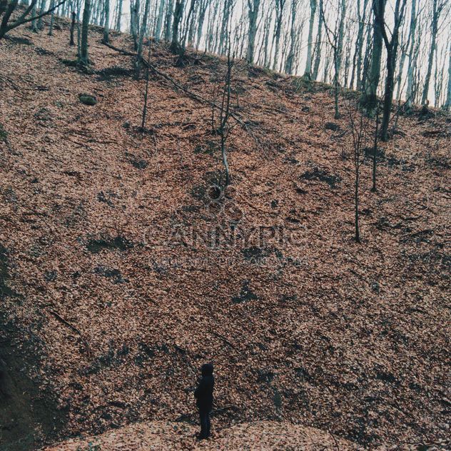 Man standing on hill in autumn forest - бесплатный image #347261