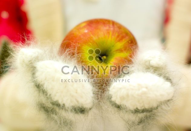 Red apple in downy mittens - Free image #348041