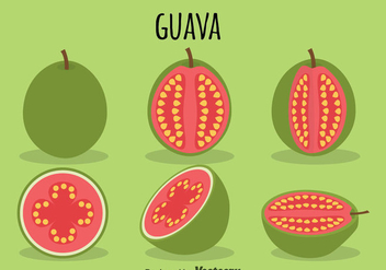 Guava Vector - vector #348301 gratis