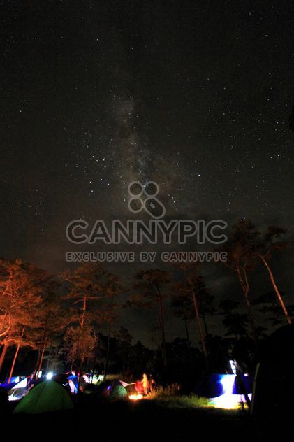 Night sky with Milky Way over tents in forest - бесплатный image #348941
