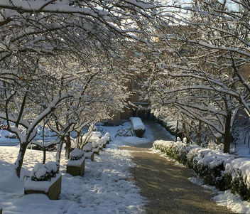 Turkey (Istanbul) Second snowfall in Istanbul - image gratuit #349411 