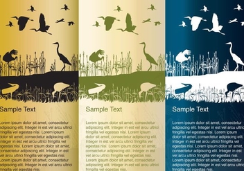 Storks and Herons Silhouette Background Vectors - vector #353921 gratis