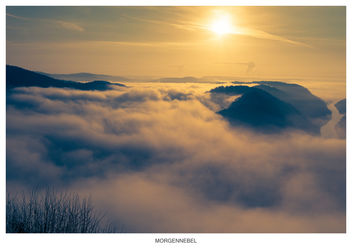 Saarschleife im Nebel - бесплатный image #355521