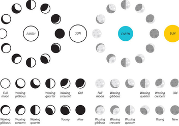 Moon Phases Vector Icons - бесплатный vector #356501