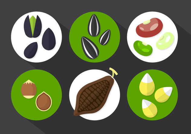 Cocoa Beans Vector Illustration - vector #361181 gratis
