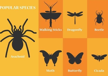 Insect Vector Silhouettes - Kostenloses vector #366461